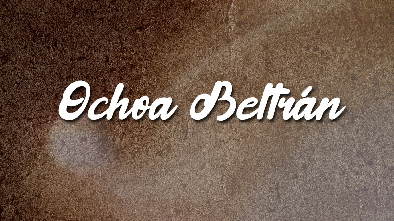 Ochoa Beltrán