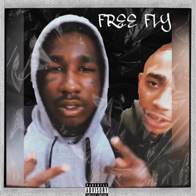 Free Fly