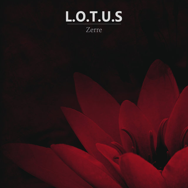Lotus