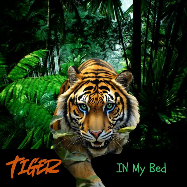 TIGER IN MY BED