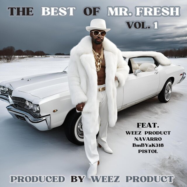 THE BEST OF MR. FRESH, Vol. 1