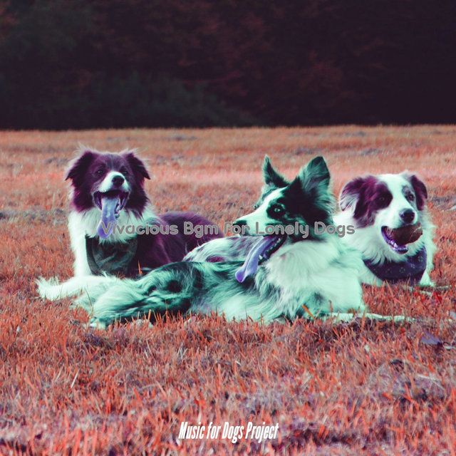 Vivacious Bgm for Lonely Dogs