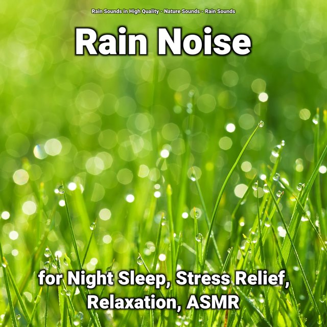 Rain Noise for Night Sleep, Stress Relief, Relaxation, ASMR
