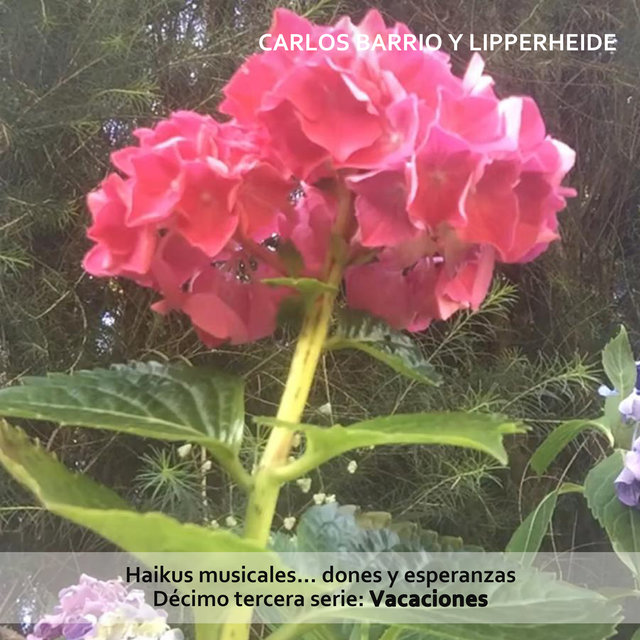 Haikus Musicales... Dones y Esperanzas. Décimo Tercera Serie: Vacaciones