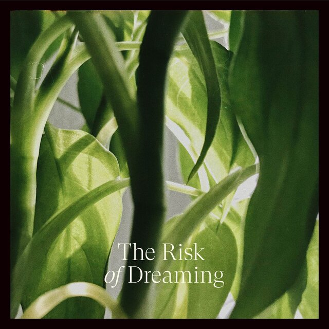 The Risk Of Dreaming