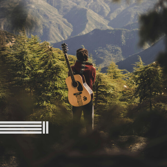 Guitarra Relaxante E Sons Da Floresta