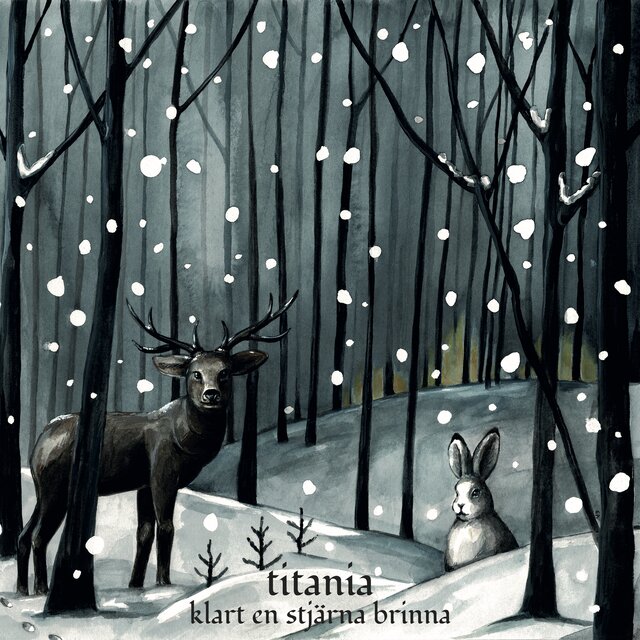 klart en stjärna brinna