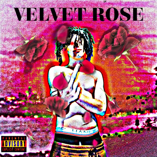 VELVET ROSE