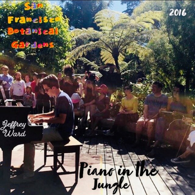 Piano in the Jungle