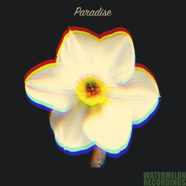 Paradise