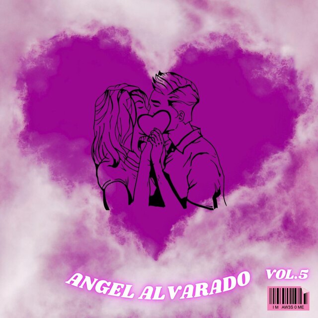 CANCIONES A MI ESTILO, Vol. 5