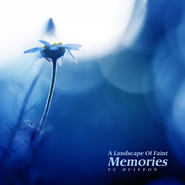 A Landscape Of Faint Memories