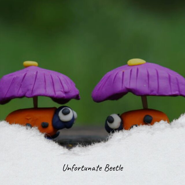 Unfortunate Beetle
