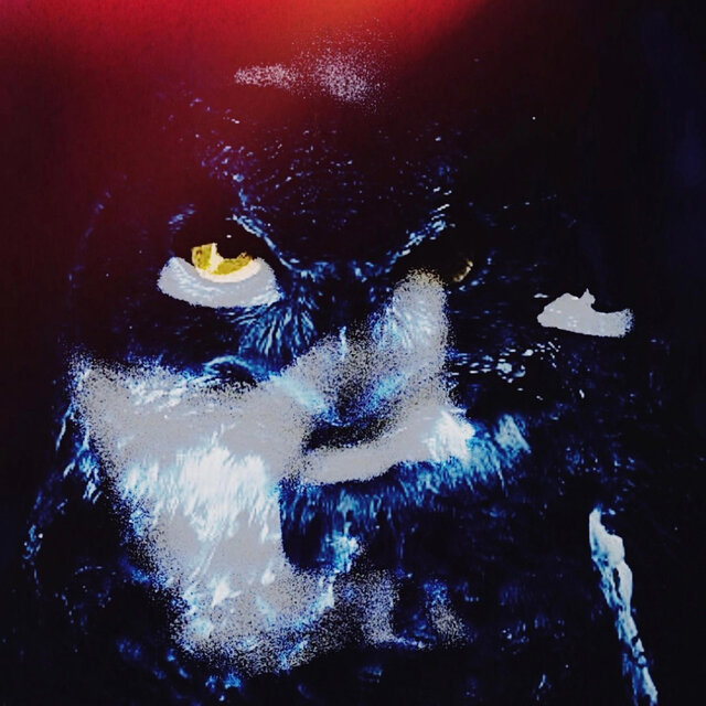 Owl's Keeper