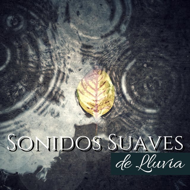 Sonidos Suaves de Lluvia - Música Emocional para Mente y Espíritu