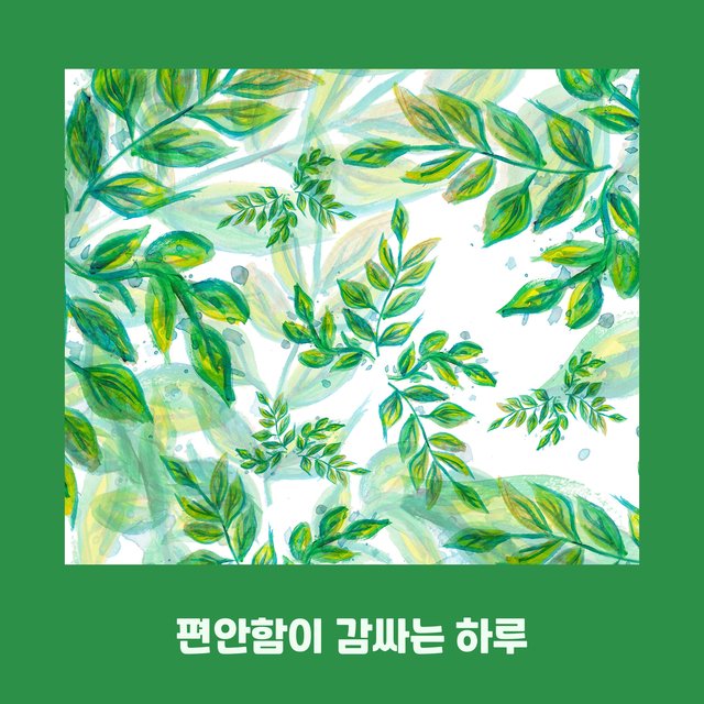 편안함이 감싸는 하루