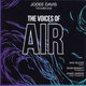 Cover art for album The Voices of Air by JoDee Davis