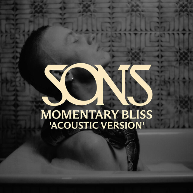 Momentary Bliss (Acoustic Version)