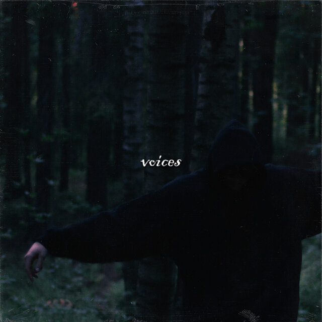 Voices