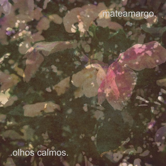 Olhos Calmos