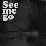 See me go (feat. Probz362)