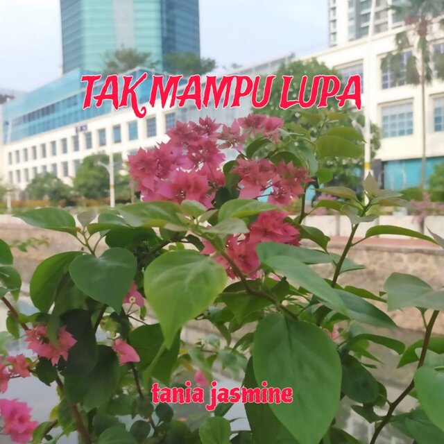 Tak Mampu Lupa