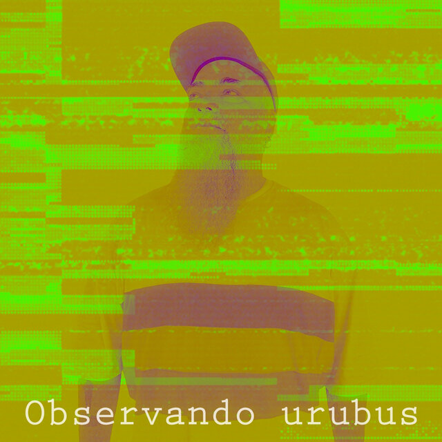 Observando Urubus