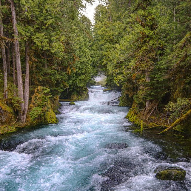 Oh, Oregon