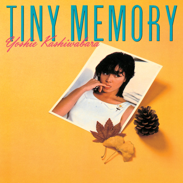 Tiny Memory