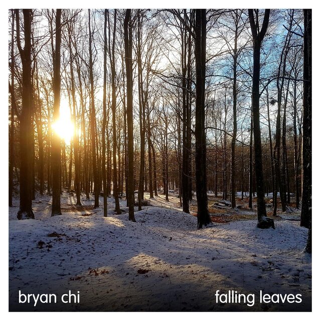 Falling Leaves