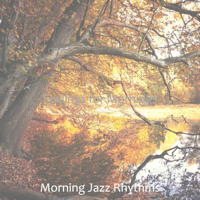 Feelings for Mornings