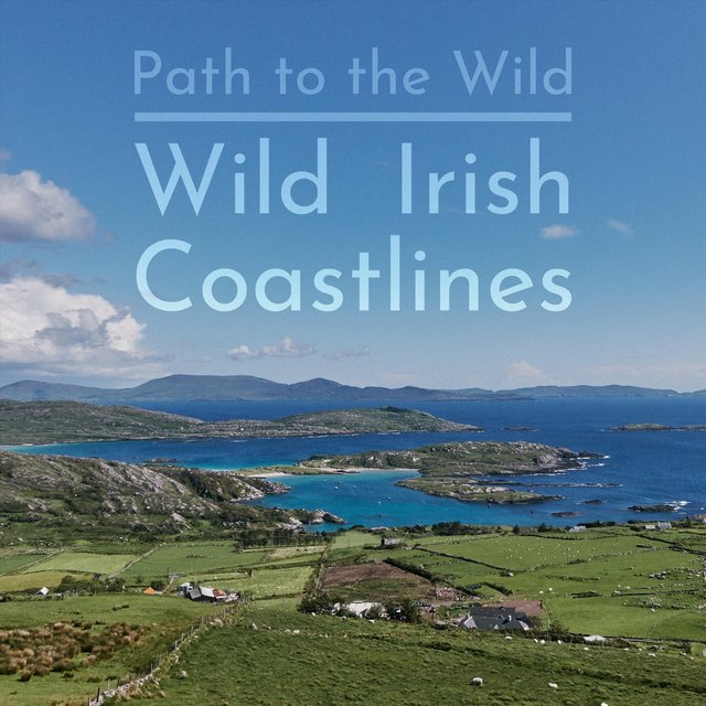 Wild Irish Coastlines