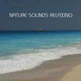 Echoes of Nature – Soothing Music