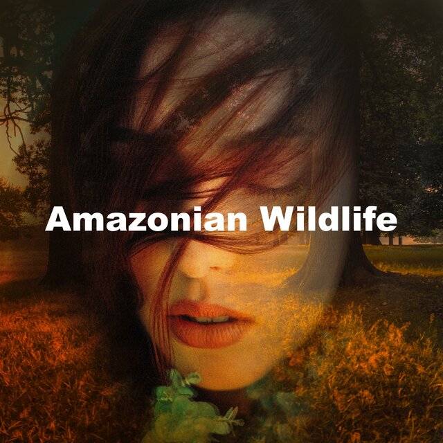 Amazonian Wildlife
