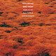 Cover art for album Gnu High by Kenny Wheeler, Keith Jarrett, Dave Holland, Jack DeJohnette