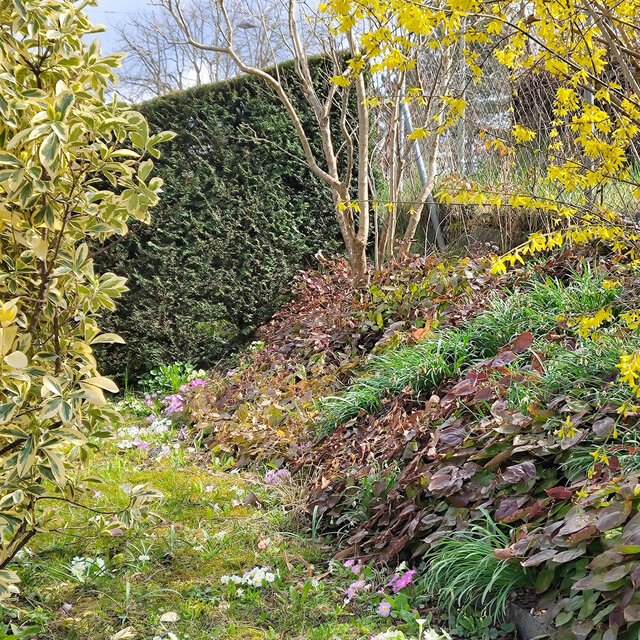 silent spring