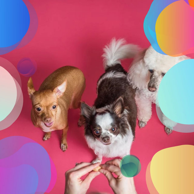 Tasteful Bossa Trombone - Bgm for Best Dogs