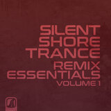 After Rain Comes The Sunlight (Shokey Remix)