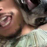 80/20