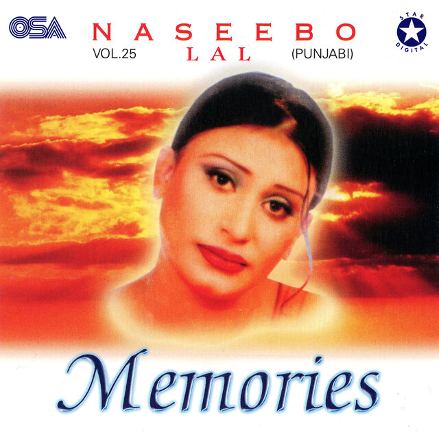 Memories, Vol. 25