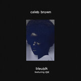 bleublk (feat. IDK)