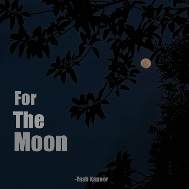 for the moon