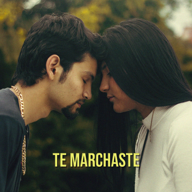 Te Marchaste