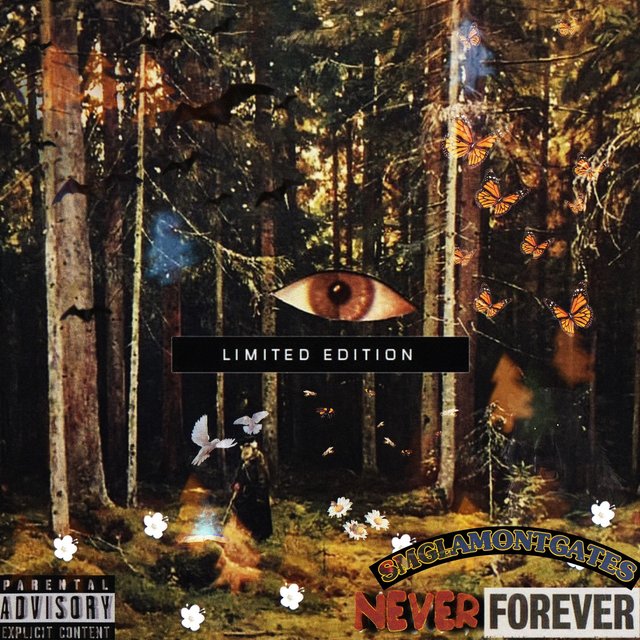 Never, Forever (Limited Edition)