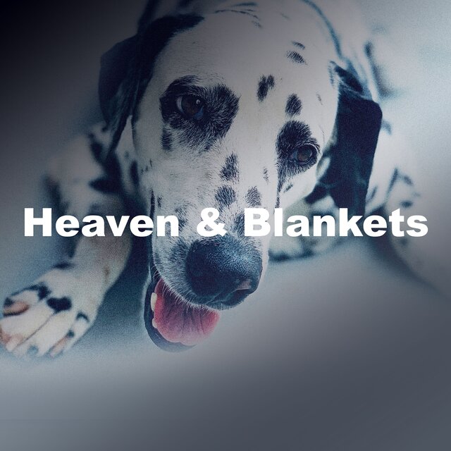 Heaven & Blankets