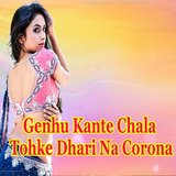 Genhu Kante Chala Tohke Dhari Na Corona