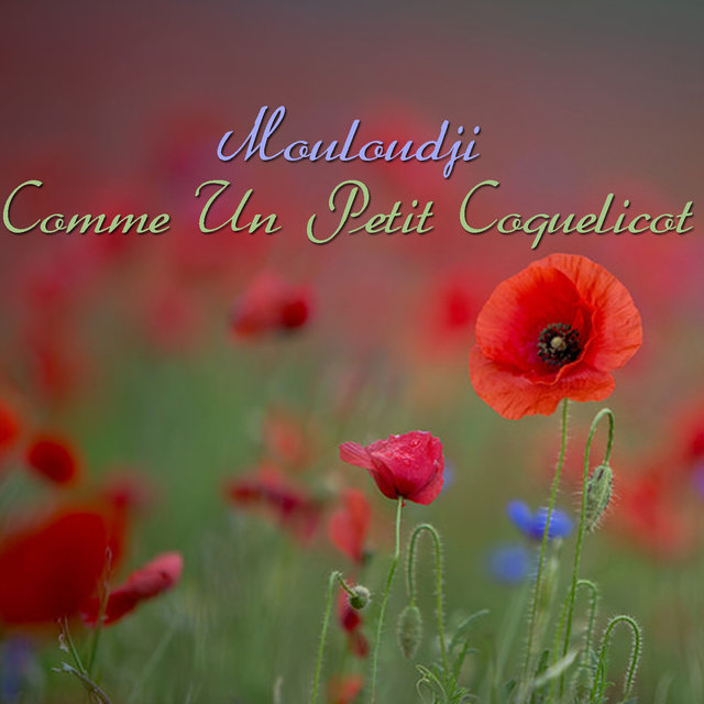 Comme un petit coquelicot