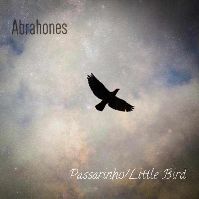 Passarinho / Little Bird