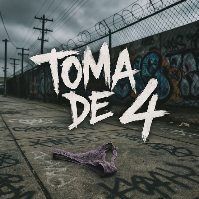 Toma de 4