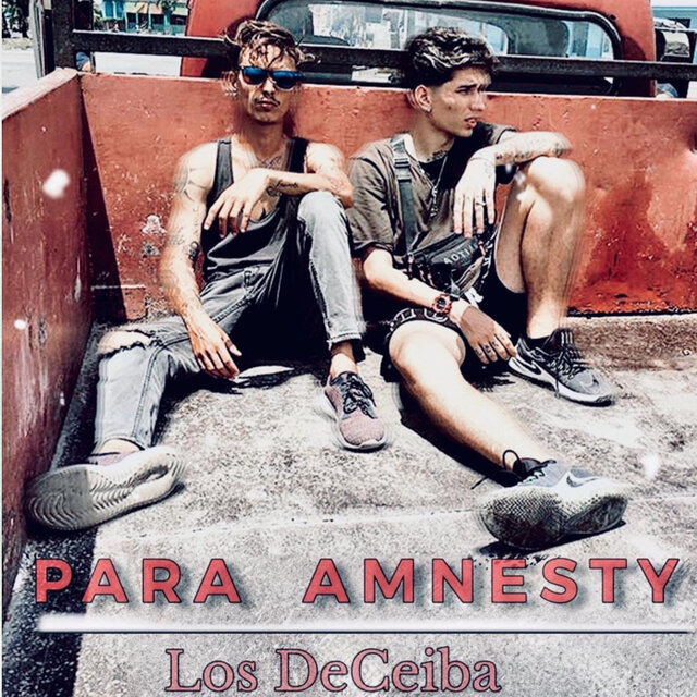 Para Amnesty
